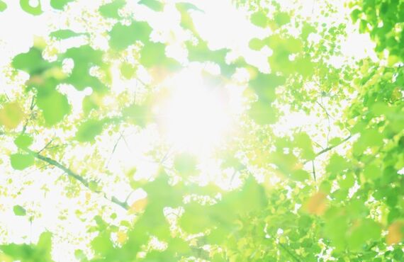 千林・千林大宮の歯医者で矯正をお考えの方【うえのファミリー歯科クリニック】